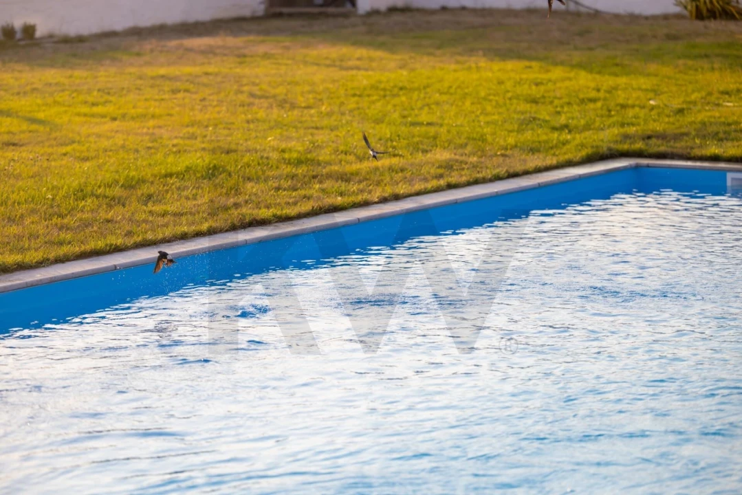 Moradia T1 para Venda em Alcoentre Foto 22