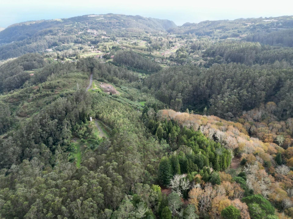 Terreno para Venda em Santo Antonio da Serra Foto 9