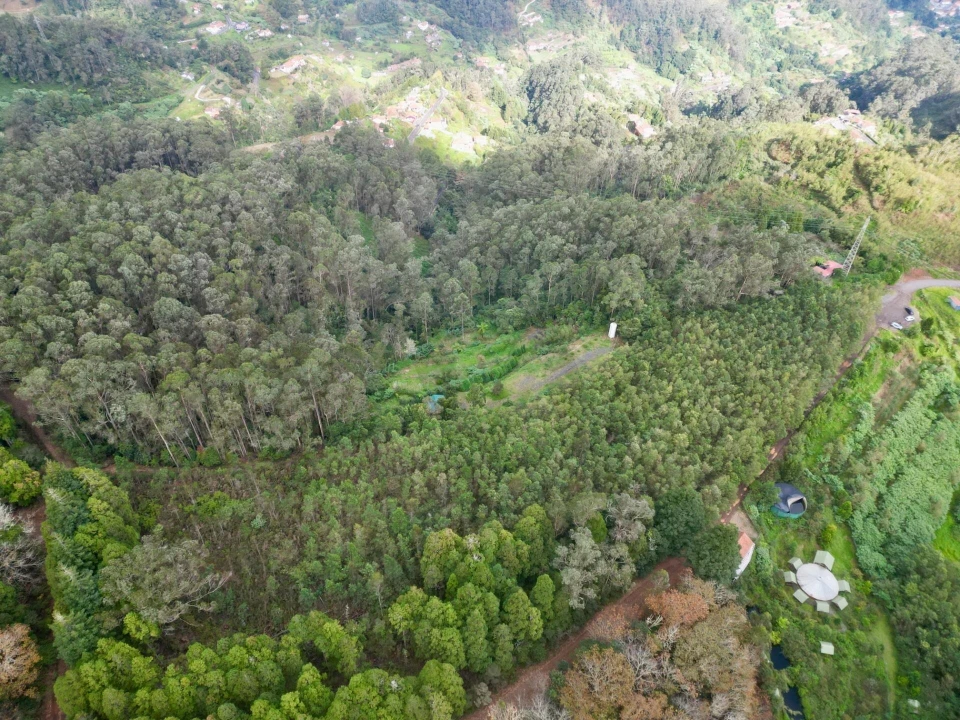 Terreno para Venda em Santo Antonio da Serra Foto 13