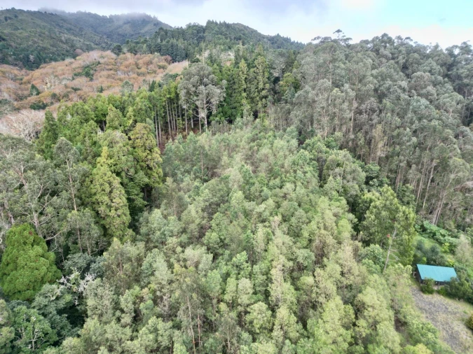 Terreno para Venda em Santo Antonio da Serra Foto 10