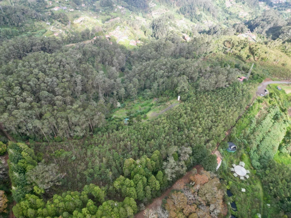 Terreno para Venda em Santo Antonio da Serra Foto 14