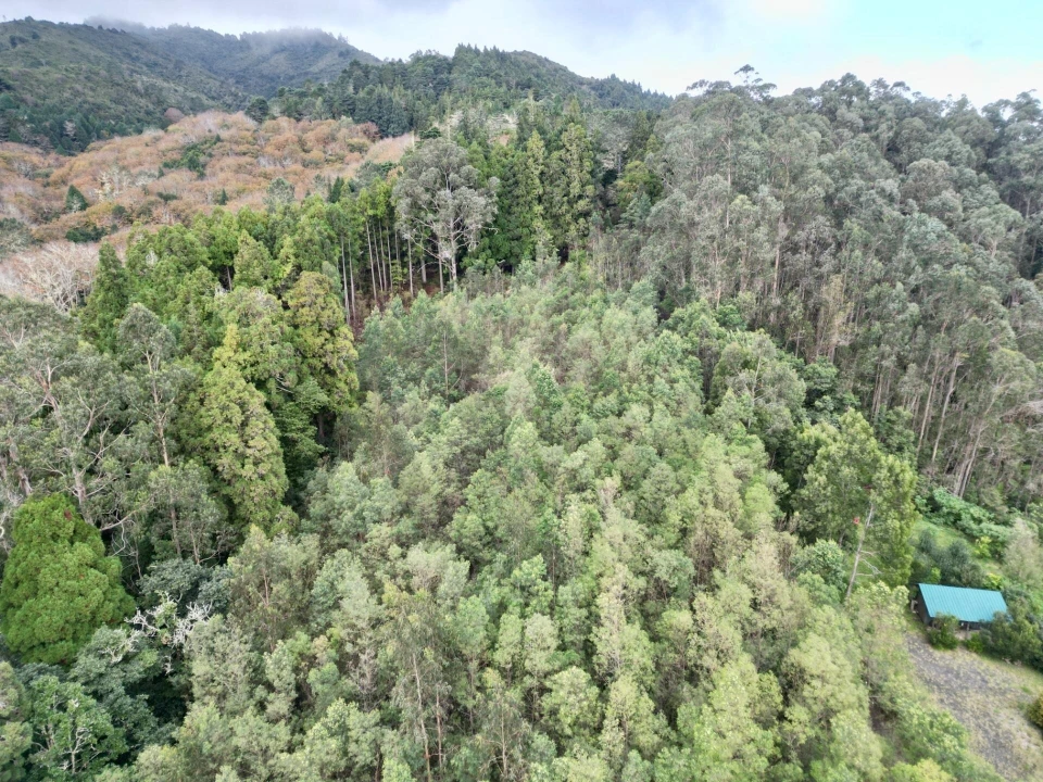 Terreno para Venda em Santo Antonio da Serra Foto 10