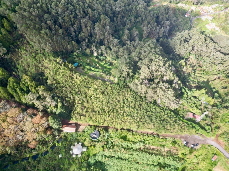 Terreno para Venda em Santo Antonio da Serra Foto 15