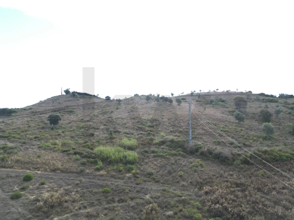 Terreno para Venda em Romeira e Várzea Foto 4