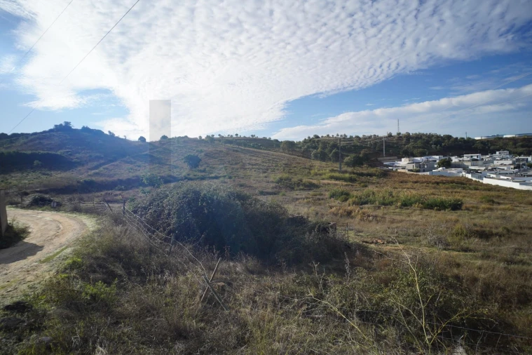 Terreno para Venda em Romeira e Várzea Foto 20