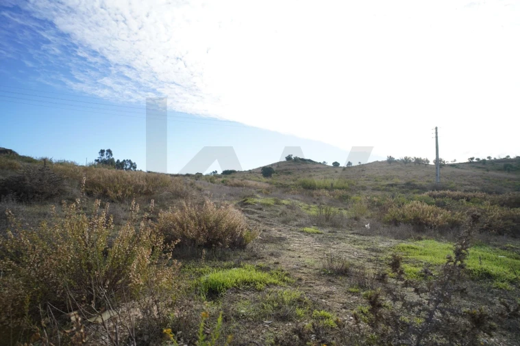 Terreno para Venda em Romeira e Várzea Foto 23
