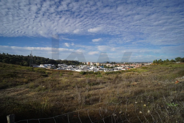 Terreno para Venda em Romeira e Várzea Foto 18