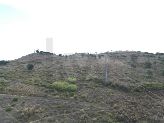 Terreno para Venda em Romeira e Várzea Foto 4