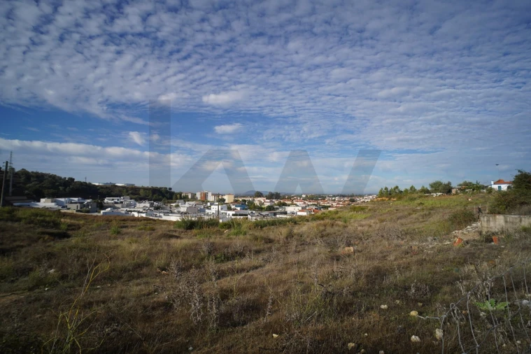 Terreno para Venda em Romeira e Várzea Foto 19