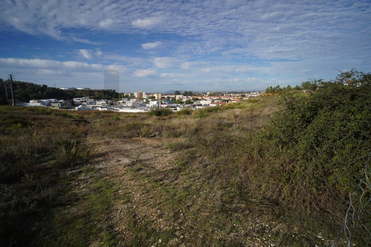 Terreno para Venda em Romeira e Várzea Foto 15