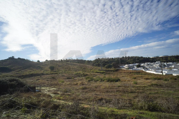 Terreno para Venda em Romeira e Várzea Foto 21