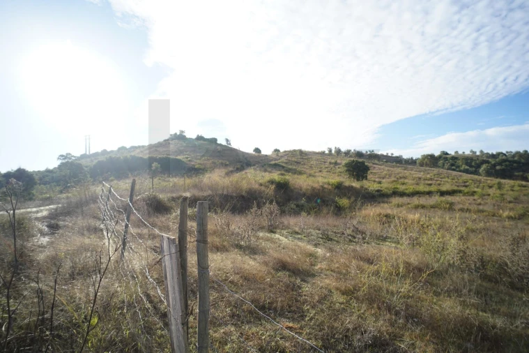 Terreno para Venda em Romeira e Várzea Foto 13