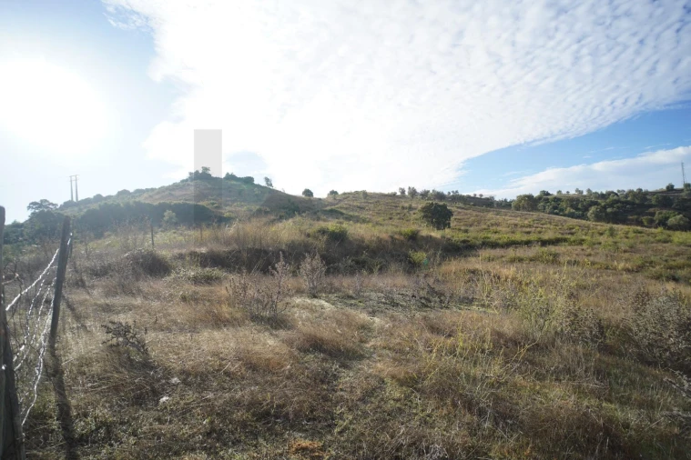 Terreno para Venda em Romeira e Várzea Foto 14