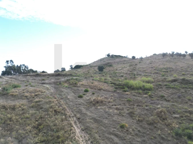 Terreno para Venda em Romeira e Várzea Foto 8