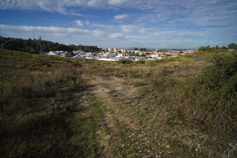 Terreno para Venda em Romeira e Várzea Foto 16