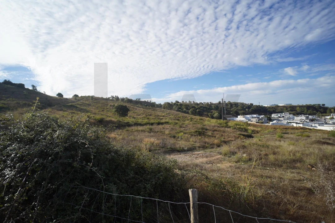 Terreno para Venda em Romeira e Várzea Foto 17
