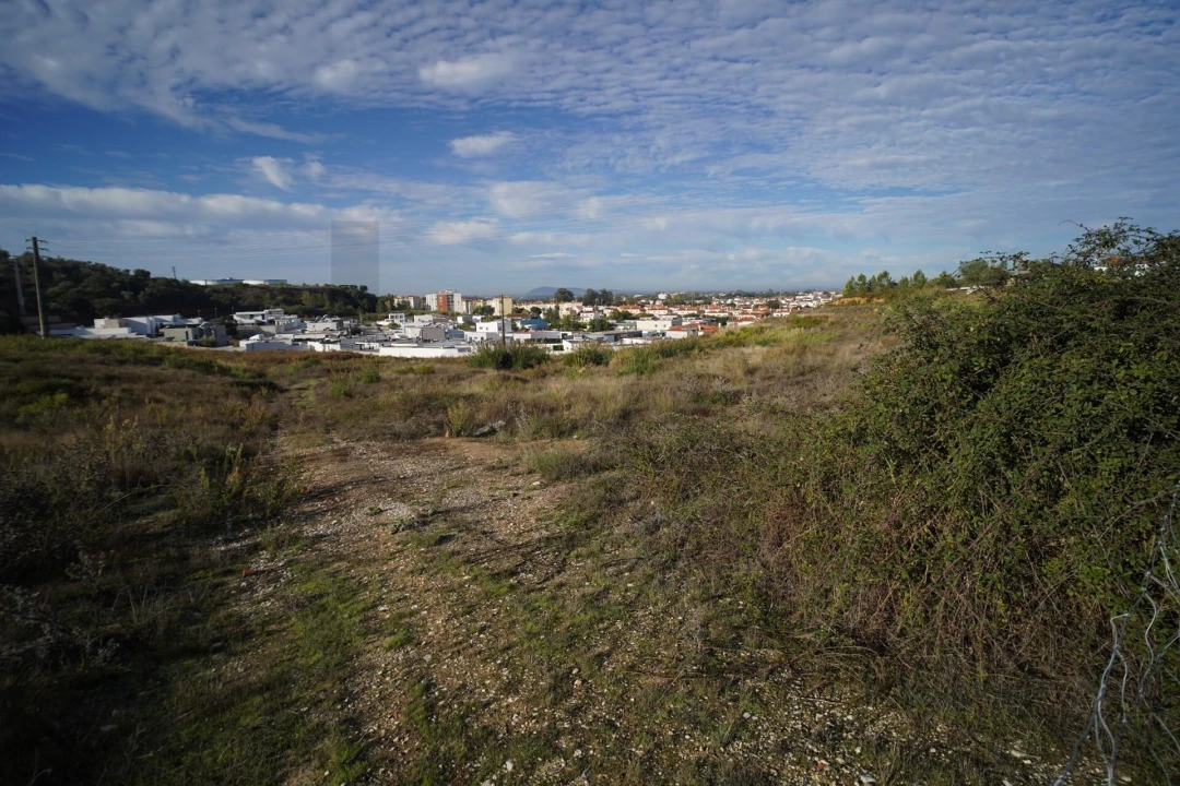 Terreno para Venda em Romeira e Várzea Foto 15