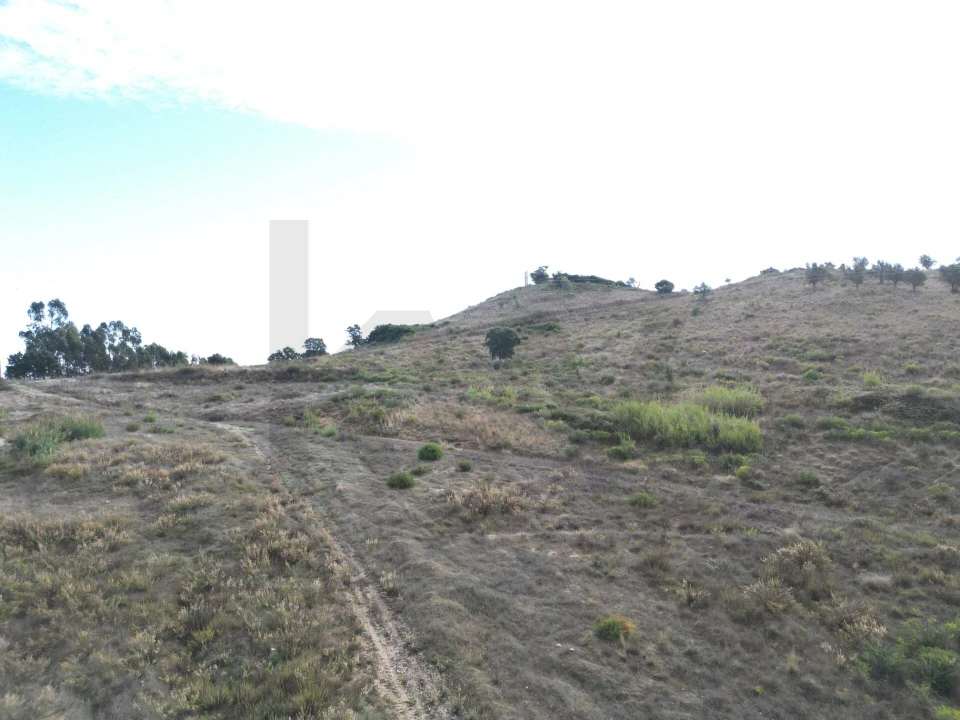 Terreno para Venda em Romeira e Várzea Foto 8
