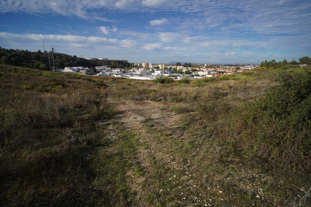 Terreno para Venda em Romeira e Várzea Foto 16