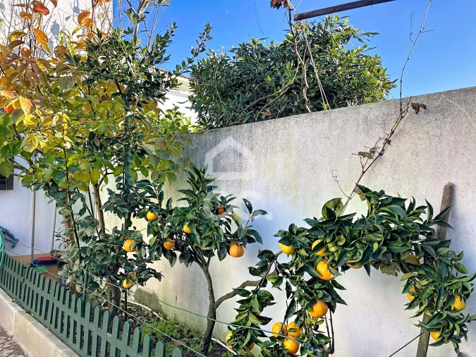 Moradia T3 para Venda em Santa Maria, São Pedro e Sobral da Lagoa Foto 30