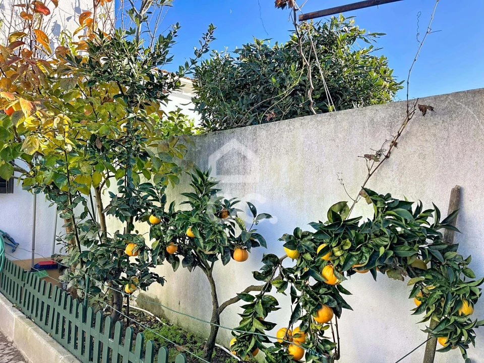 Moradia T3 para Venda em Santa Maria, São Pedro e Sobral da Lagoa Foto 30