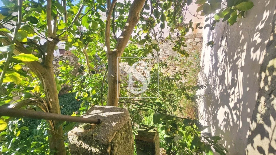 Moradia T3 para Venda em Ovar, São João, Arada e São Vicente de Pereira Jusã Foto 13