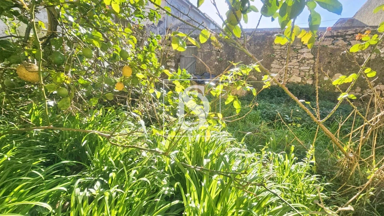 Moradia T3 para Venda em Ovar, São João, Arada e São Vicente de Pereira Jusã Foto 11