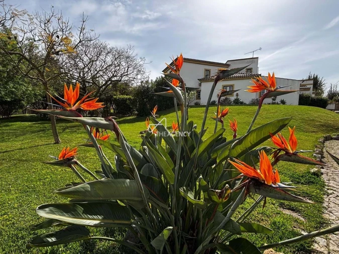 Moradia T8 para Venda em Loures Foto 44