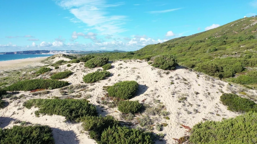 Moradia T3 para Venda em Famalicão Foto 36