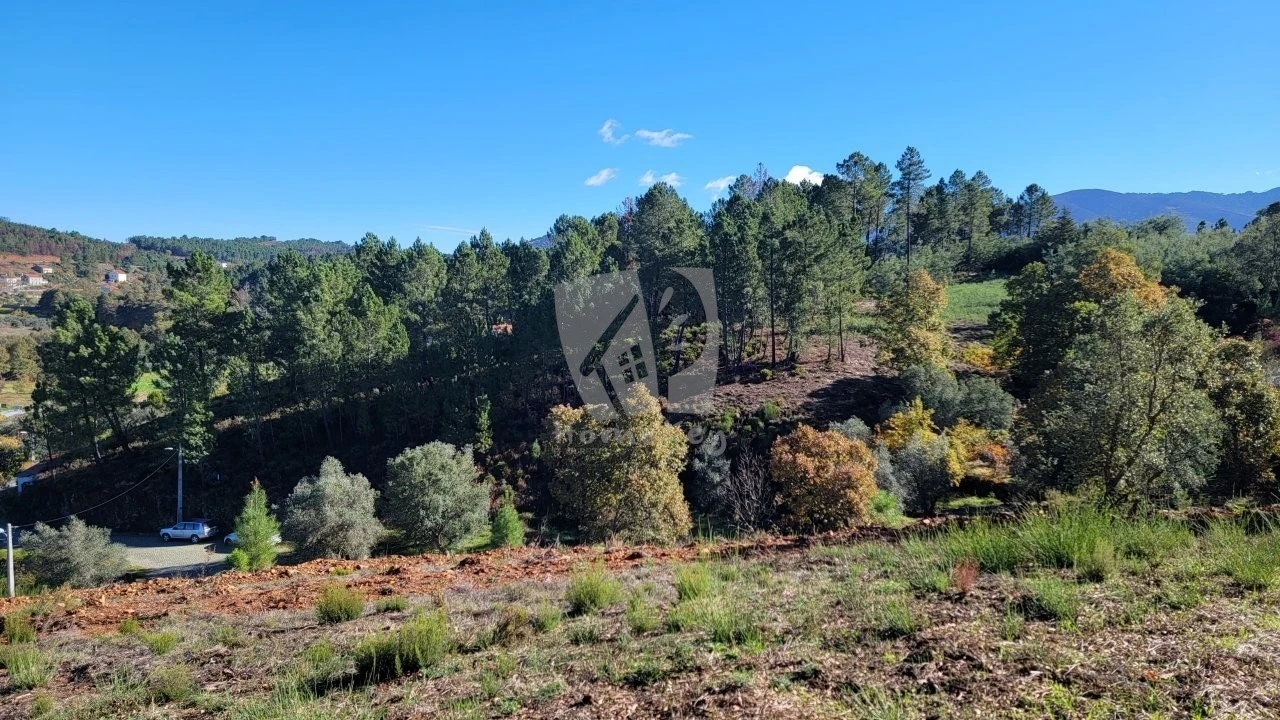 Terreno Agricola ou Rústico para Venda em Castelejo Foto 6