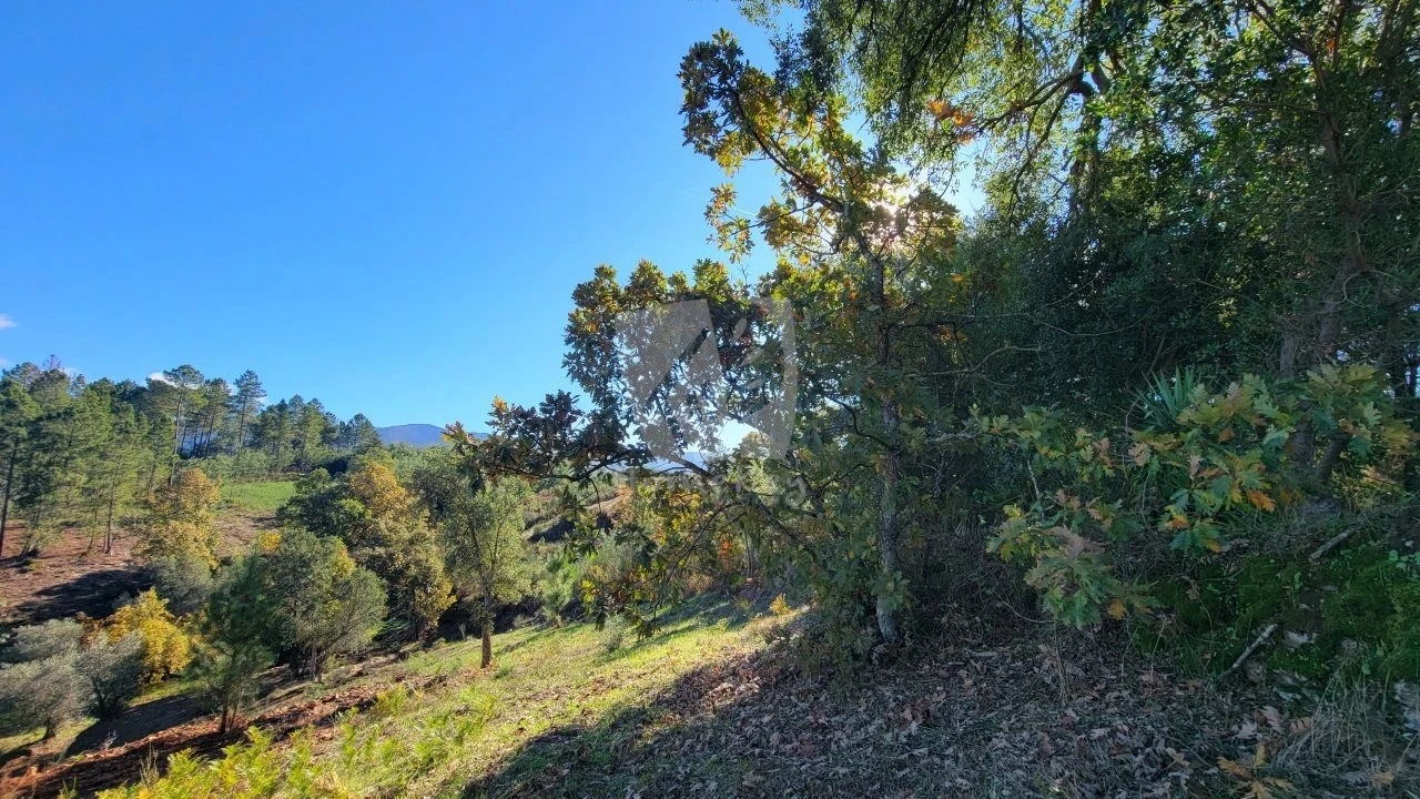 Terreno Agricola ou Rústico para Venda em Castelejo Foto 2