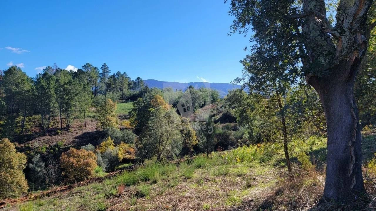 Terreno Agricola ou Rústico para Venda em Castelejo Foto 7