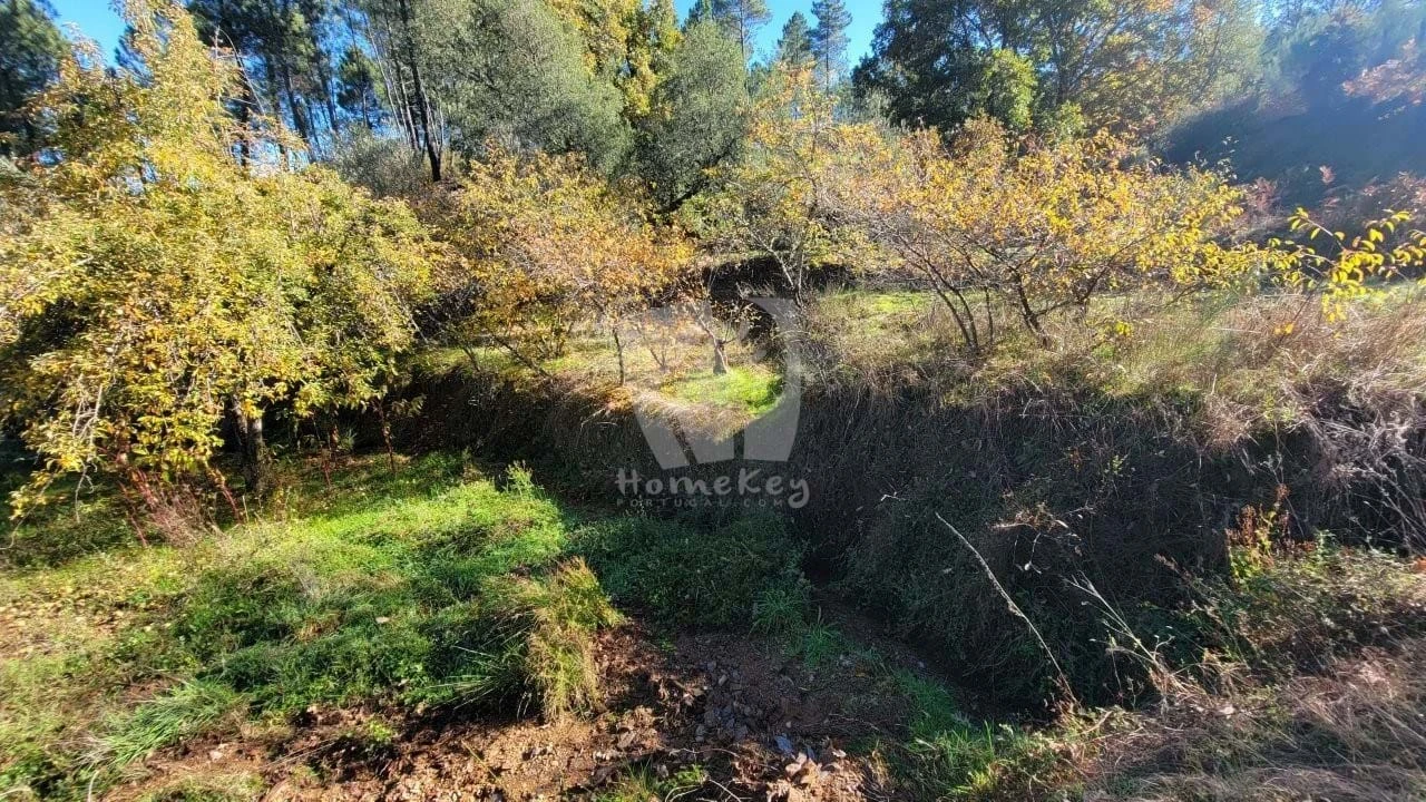 Terreno Agricola ou Rústico para Venda em Castelejo Foto 14