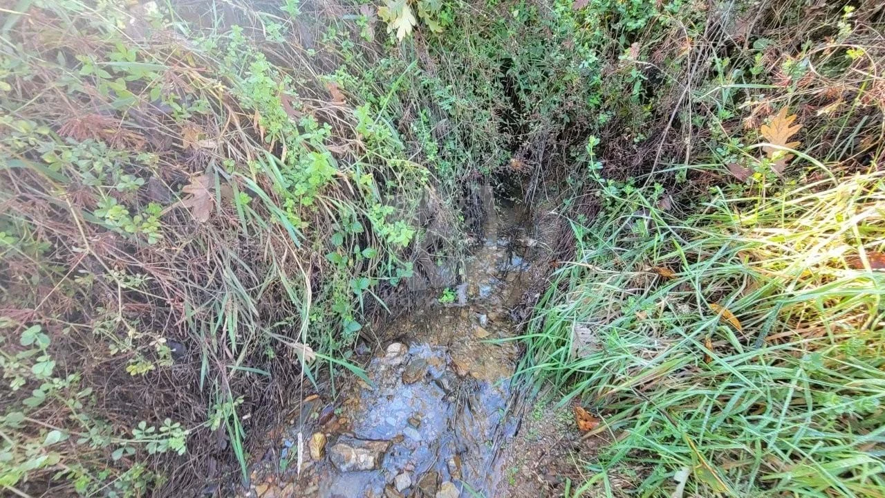 Terreno Agricola ou Rústico para Venda em Castelejo Foto 17