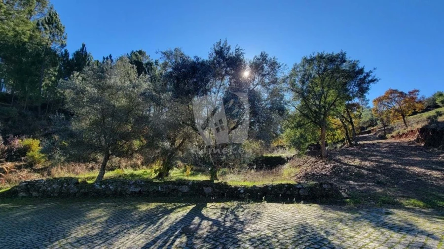 Terreno Agricola ou Rústico para Venda em Castelejo Foto 20