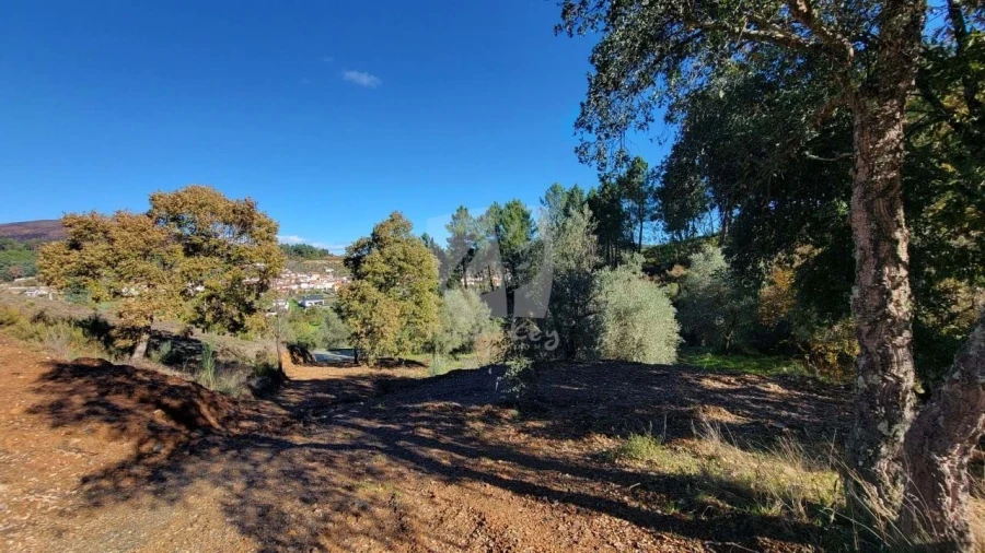 Terreno Agricola ou Rústico para Venda em Castelejo Foto 23