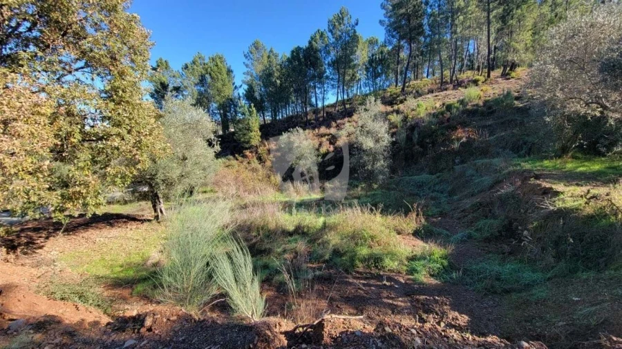 Terreno Agricola ou Rústico para Venda em Castelejo Foto 15