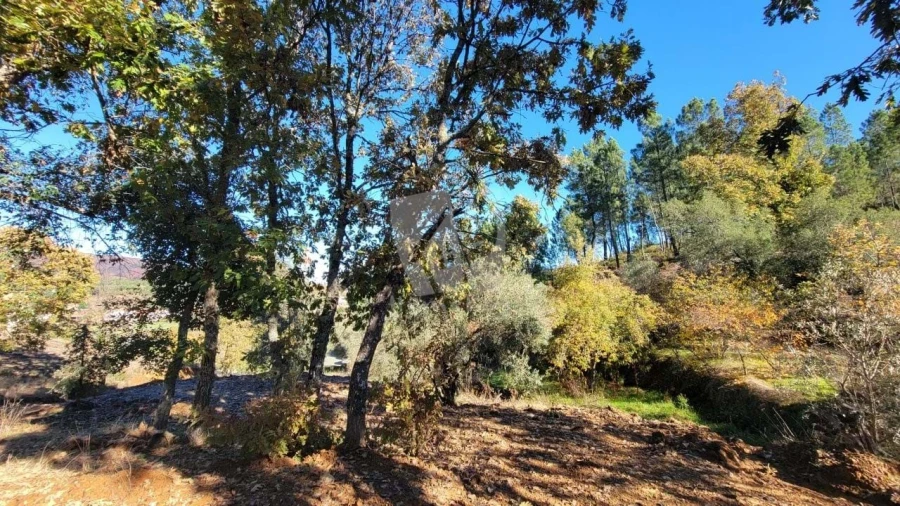Terreno Agricola ou Rústico para Venda em Castelejo Foto 24