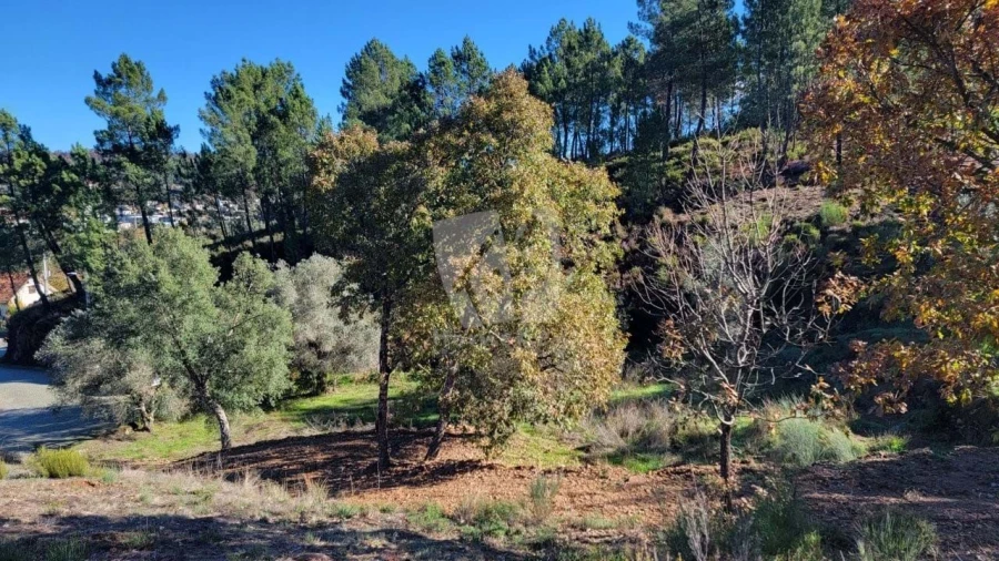 Terreno Agricola ou Rústico para Venda em Castelejo Foto 22