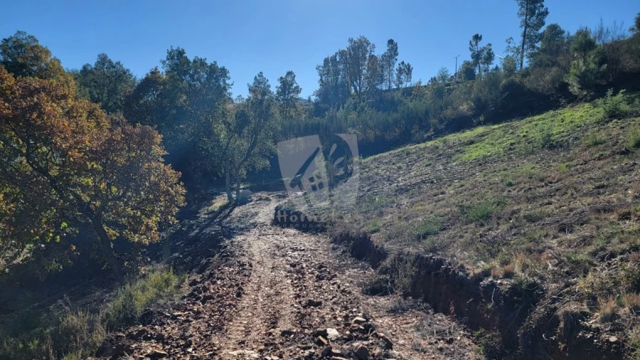 Terreno Agricola ou Rústico para Venda em Castelejo Foto 21