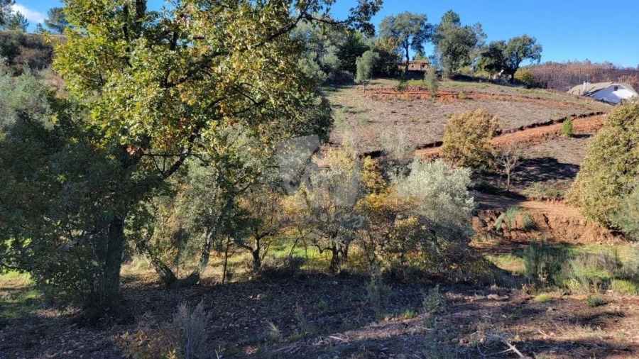 Terreno Agricola ou Rústico para Venda em Castelejo Foto 12