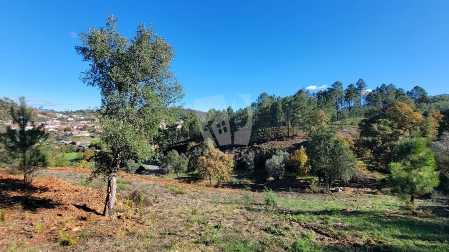 Terreno Agricola ou Rústico para Venda em Castelejo Foto 4