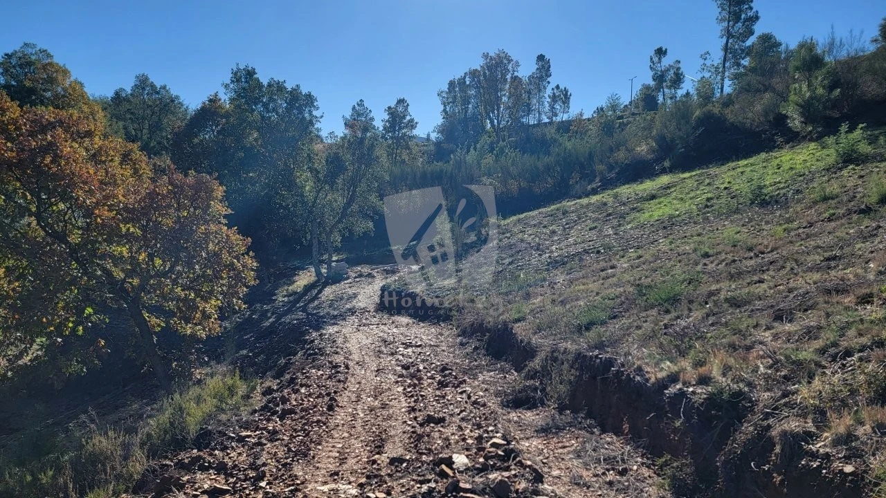 Terreno Agricola ou Rústico para Venda em Castelejo Foto 21