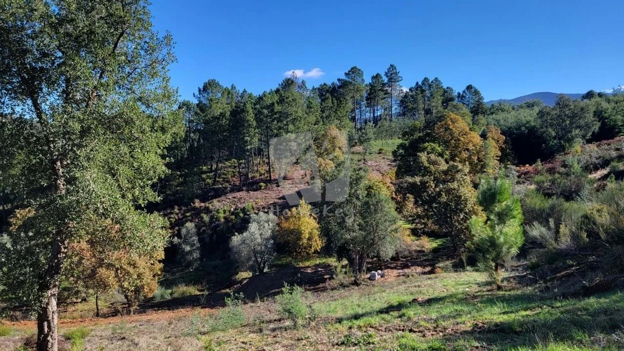 Terreno Agricola ou Rústico para Venda em Castelejo Foto 1