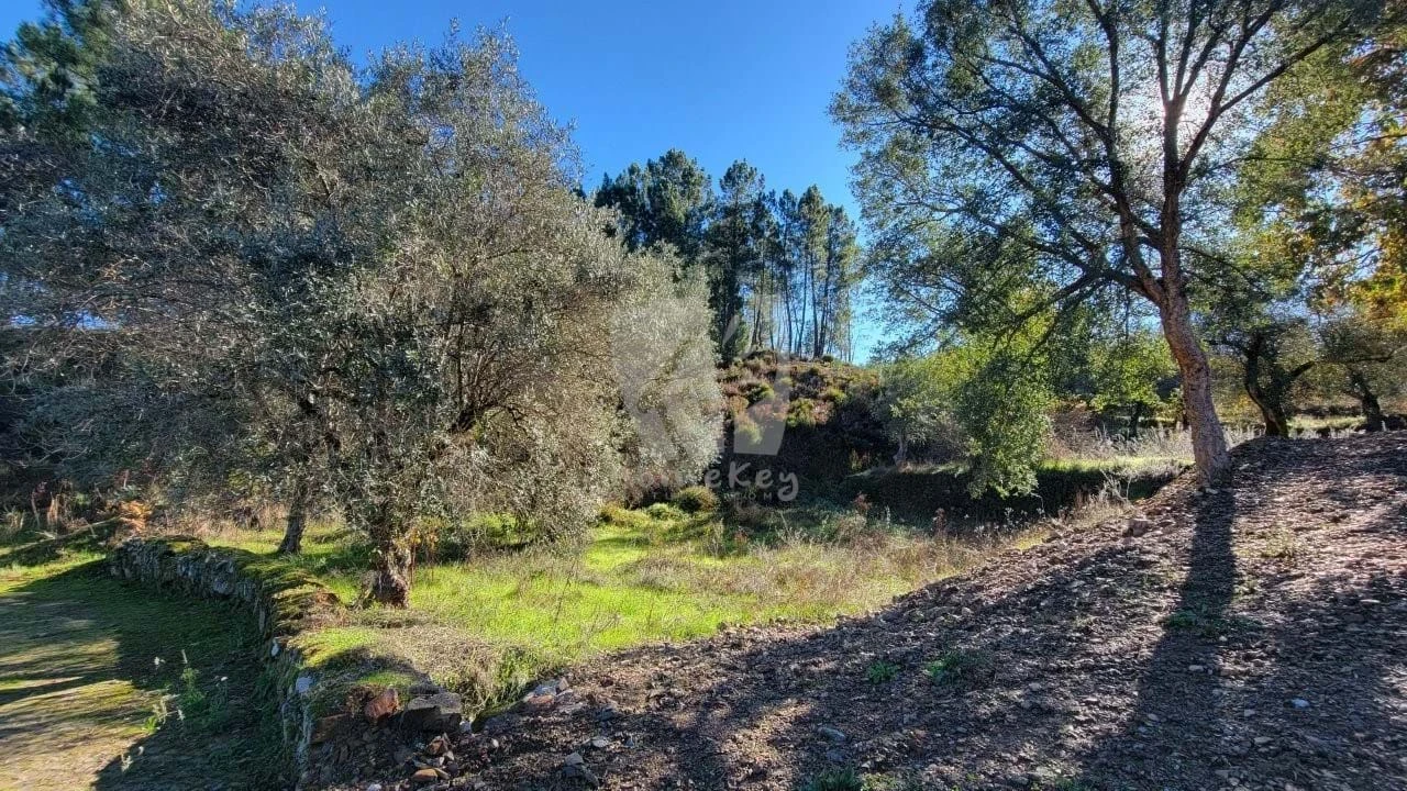 Terreno Agricola ou Rústico para Venda em Castelejo Foto 19
