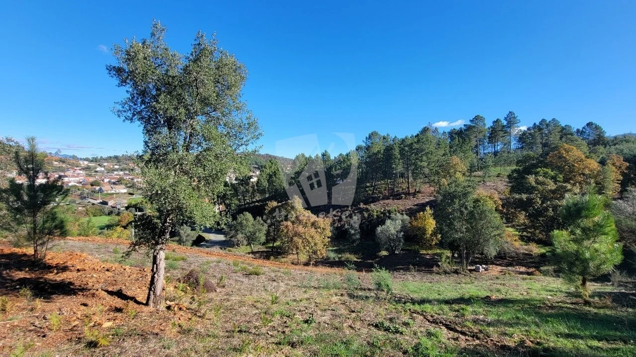 Terreno Agricola ou Rústico para Venda em Castelejo Foto 4