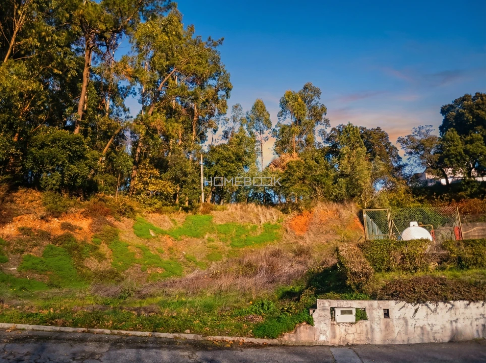 Negócio para Venda em Travassô e Óis da Ribeira Foto 10