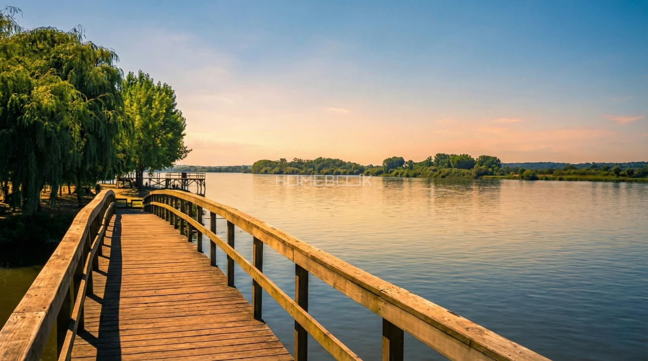 Negócio para Venda em Travassô e Óis da Ribeira Foto 13