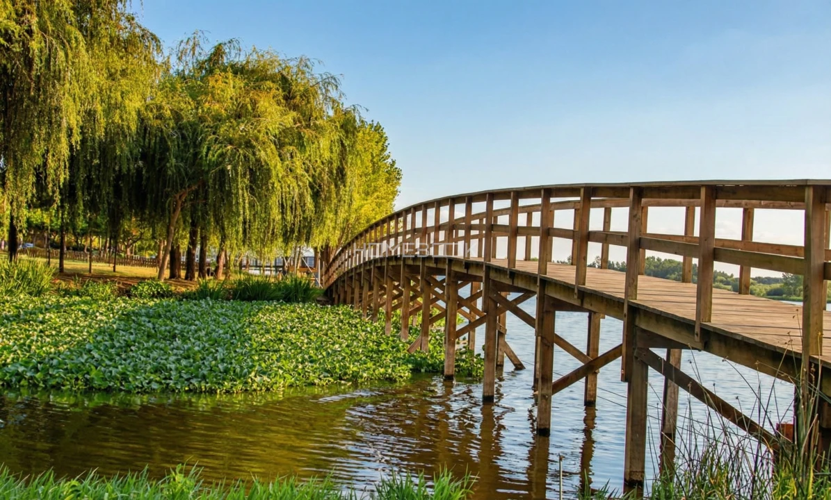 Negócio para Venda em Travassô e Óis da Ribeira Foto 15