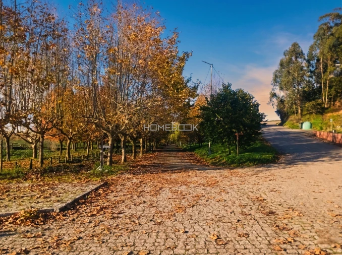 Negócio para Venda em Travassô e Óis da Ribeira Foto 14
